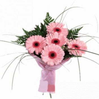 Bouquet of pink gerberas (pcs)