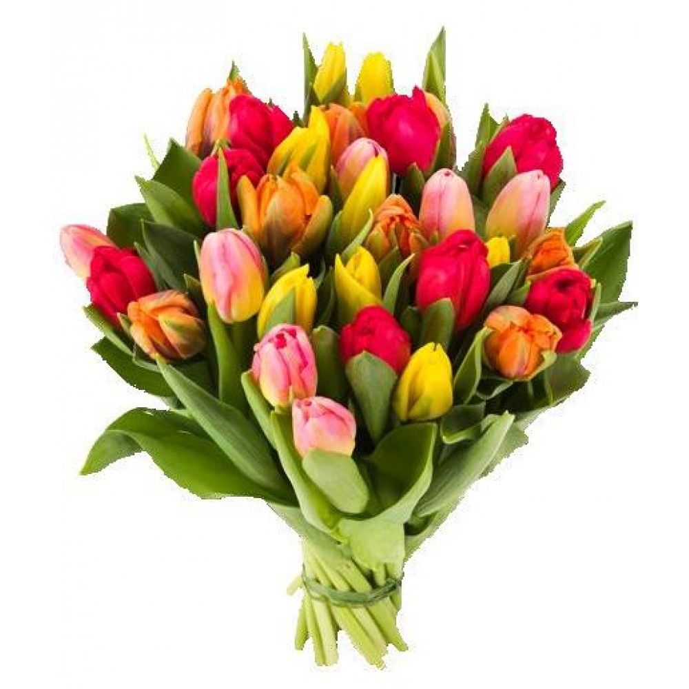 Bouquet of 25 tulips of different colors, delivery in Ventspils.