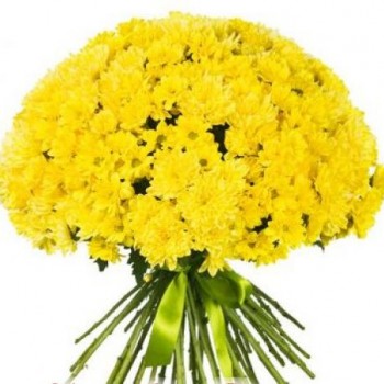 Желтые хризантемы. Выбери кол-во цветов!