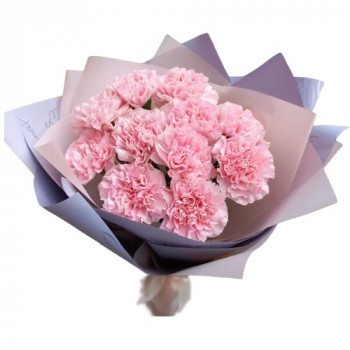 Soft pink bouquet of 11 carnations 