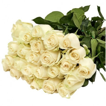 Medium white roses 50 cm