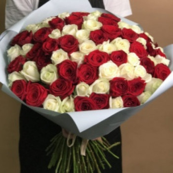 101 red & white rose