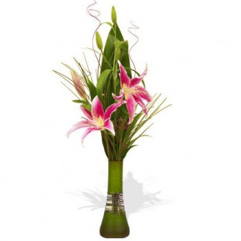 Pink lily with greens