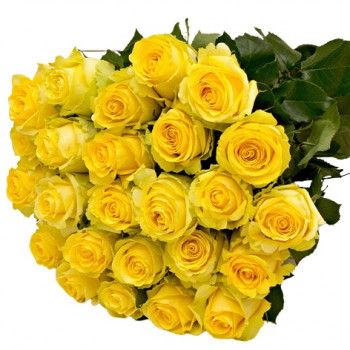 Medium yellow roses 50 cm. Select number of flowers!
