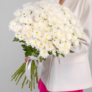 Белые хризантемы. Выбери кол-во цветов!