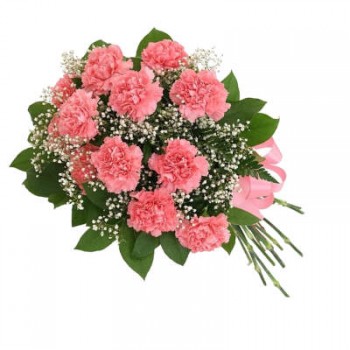 Bouquet of pink carnations