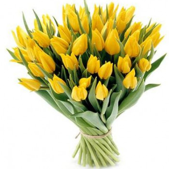 Dzeltenas tulpes